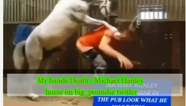 michael hanley horse video