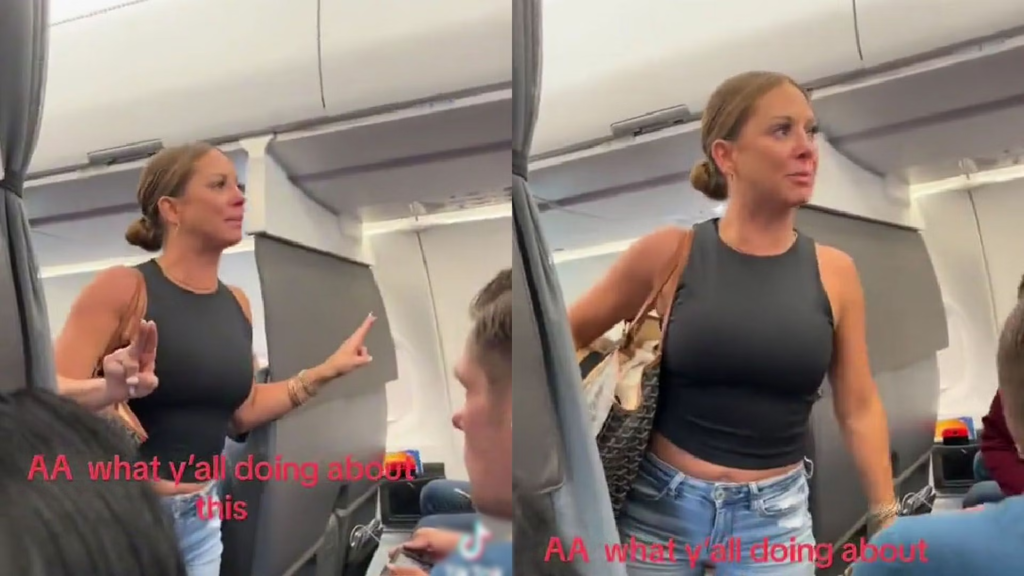 viral plane lady video original
