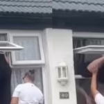 free download: viral video woman climbing window video